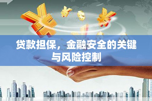 日喀则贷款担保，金融安全的关键与风险控制