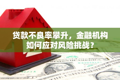 日喀则贷款不良率攀升，金融机构如何应对风险挑战？