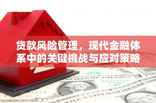 日喀则贷款风险管理，现代金融体系中的关键挑战与应对策略