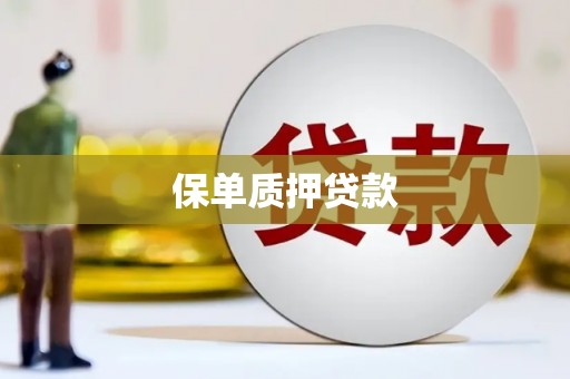 日喀则保单质押贷款