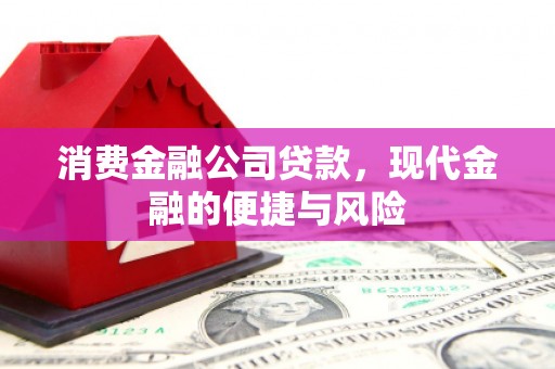 日喀则消费金融公司贷款，现代金融的便捷与风险