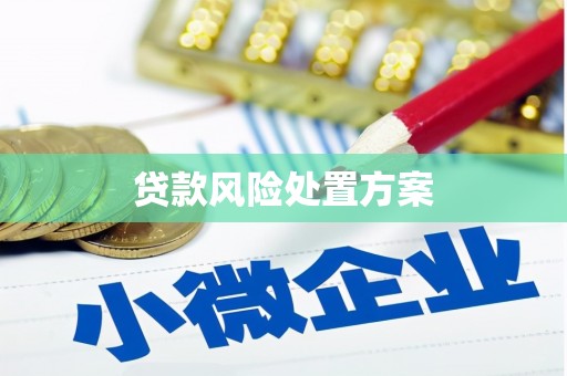 日喀则贷款风险处置方案