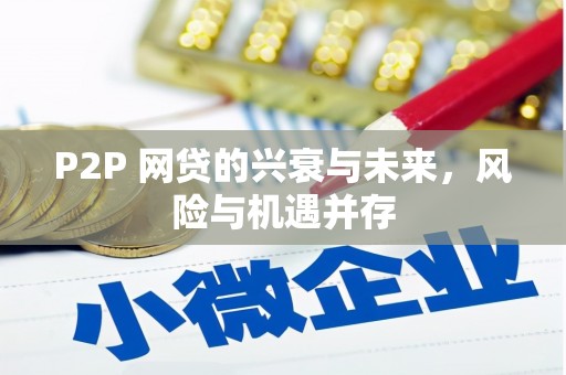 日喀则P2P 网贷的兴衰与未来，风险与机遇并存