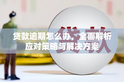 日喀则贷款逾期怎么办，全面解析应对策略与解决方案