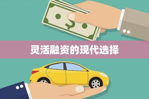 日喀则灵活融资的现代选择
