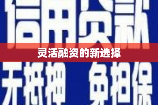 日喀则灵活融资的新选择