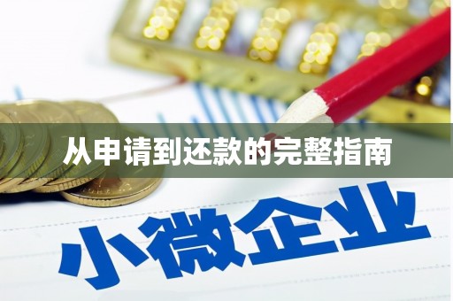 日喀则从申请到还款的完整指南