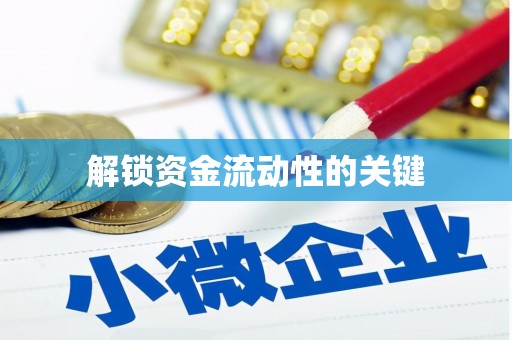 日喀则解锁资金流动性的关键