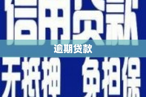 日喀则逾期贷款