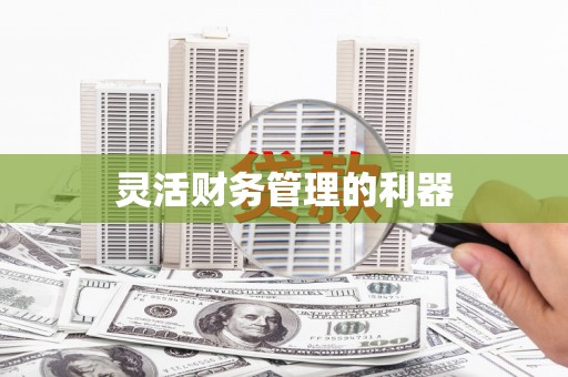 日喀则灵活财务管理的利器