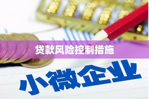 日喀则贷款风险控制措施