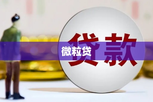 日喀则微粒贷