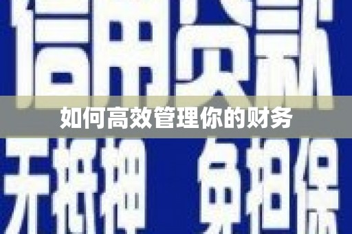 日喀则如何高效管理你的财务