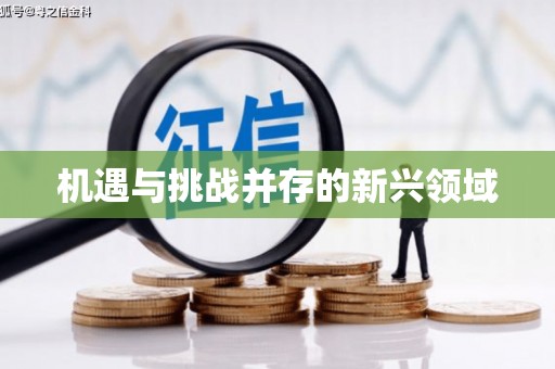 日喀则机遇与挑战并存的新兴领域