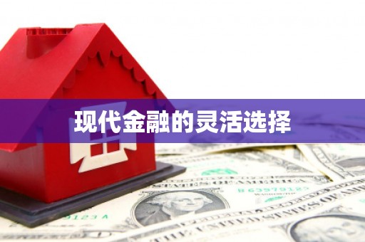 日喀则现代金融的灵活选择