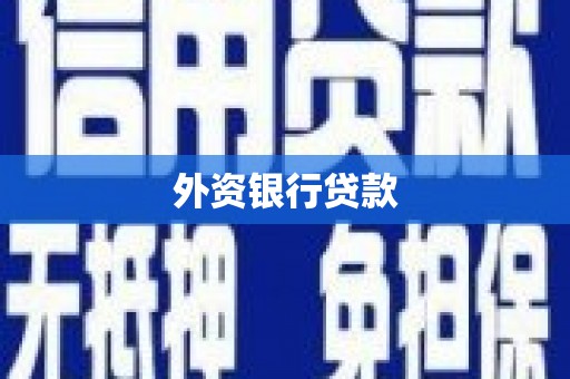 日喀则外资银行贷款