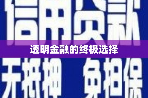 日喀则透明金融的终极选择