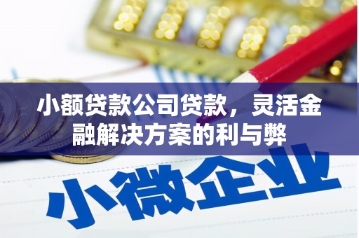 日喀则小额贷款公司贷款，灵活金融解决方案的利与弊