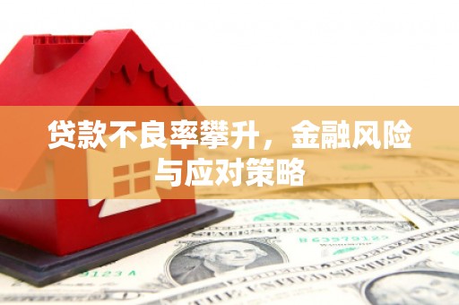 日喀则贷款不良率攀升，金融风险与应对策略
